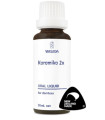 Koromiko 2x Oral Liquid, 30ml